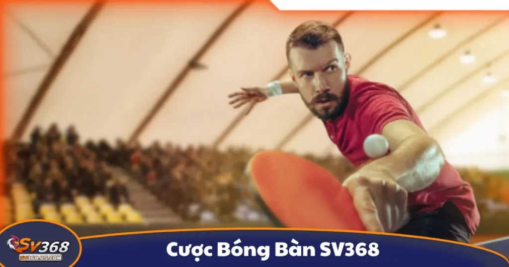 Cược Bóng Bàn SV368 - Cách Cá Cược Thể Thao Tốc Độ Cao