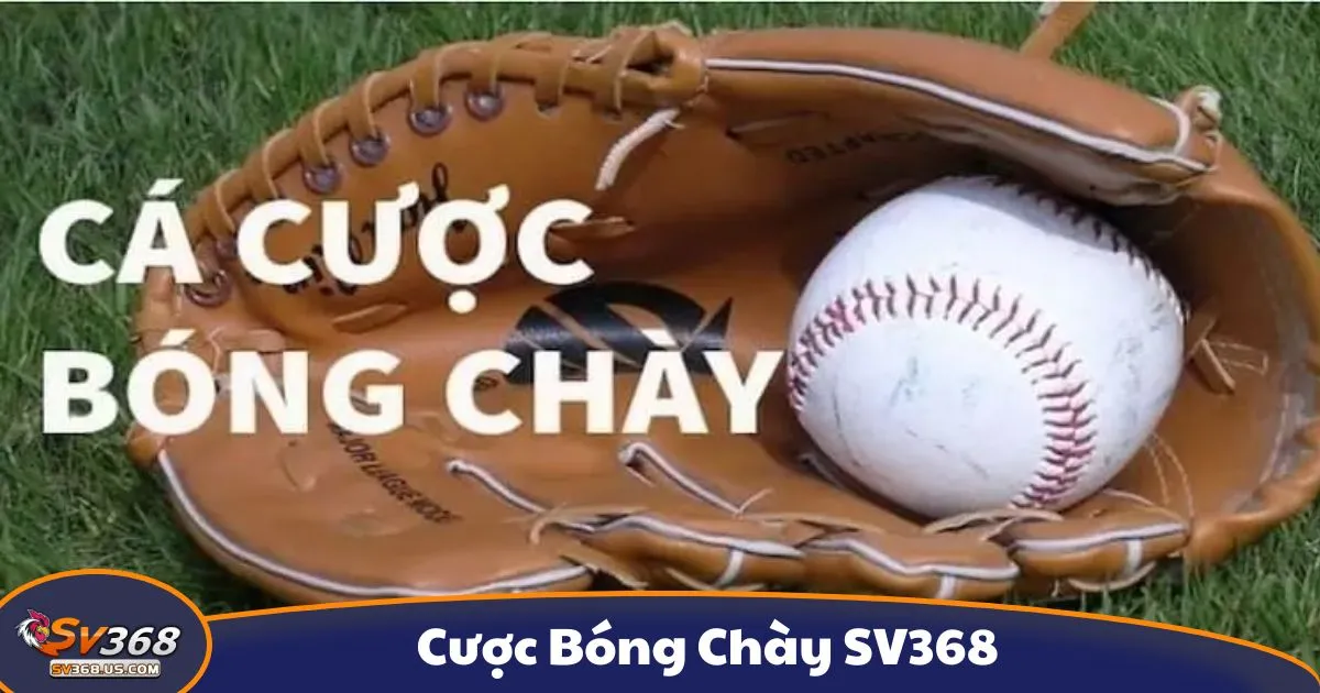 Cược Bóng Chày SV368 - Cược bóng chày là gì? Giới thiệu hệ thống kèo tại SV368