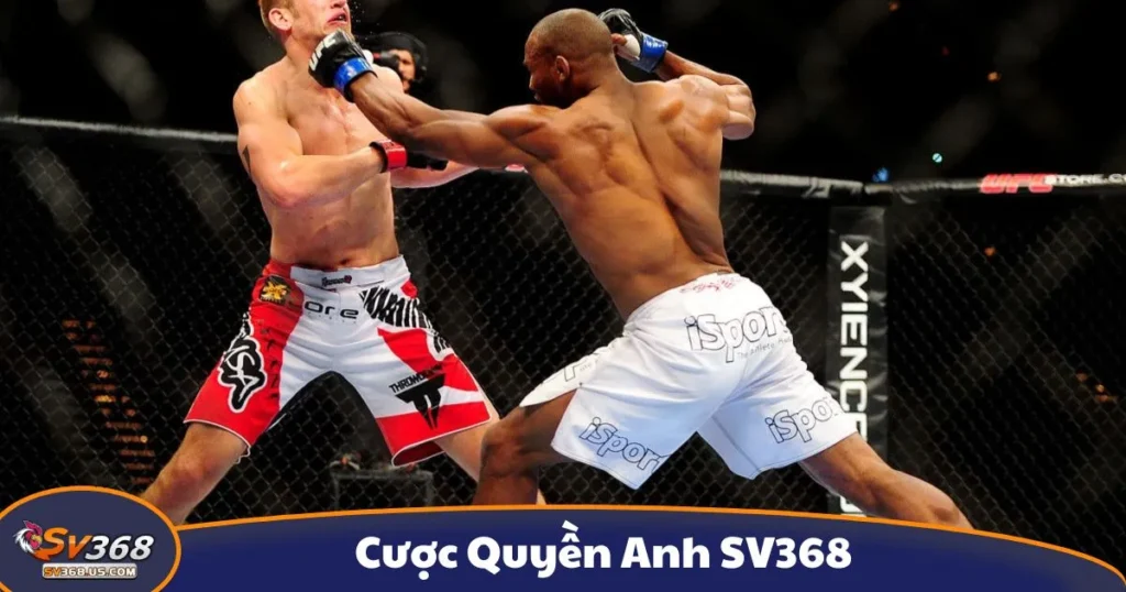 Cược Quyền Anh SV368: Cách Đọc Kèo Và Đặt Cược Đúng