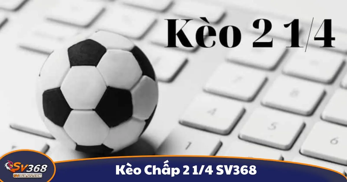Kèo chấp 2 1/4 là gì? Cách đọc kèo tại SV368