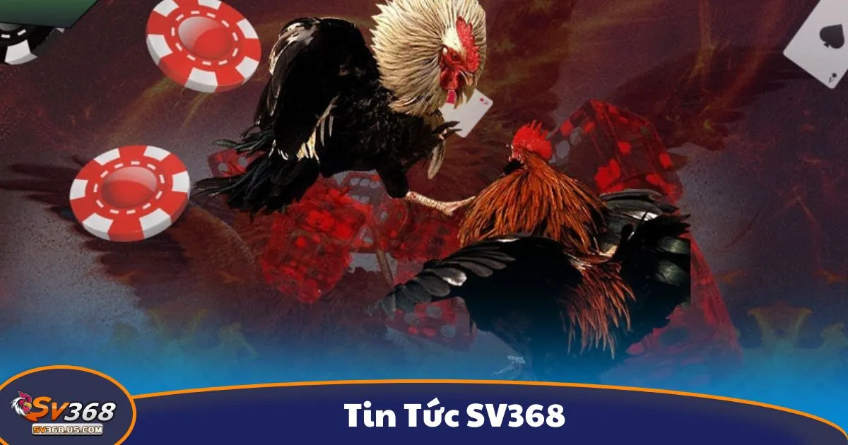 Những Tin Nổi Bật Về Cá Cược Tại SV368