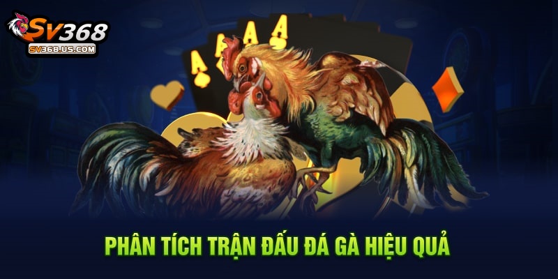 Phân tích trận đấu đá gà hiệu quả SV368 