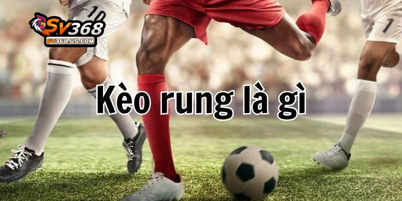 Kinh nghiệm chơi kèo rung tại SV368 