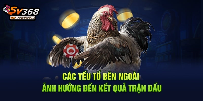 Phân Tích Trận Đấu Đá Gà SV368